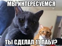 МЫ ИНТЕРЕСУЕМСЯ ТЫ СДЕЛАЛ 11 ЛАБУ?