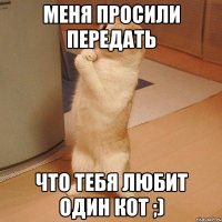 меня просили передать что тебя любит один кот ;)