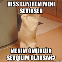 HISS ELIYIREM MENI SEVIRSEN MENIM ÖMÜRLÜK SEVQiLiM OLARSAN?