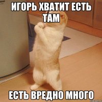 Игорь хватит есть там есть вредно много