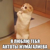  Я люблю тебя Актоты Жумагалиева