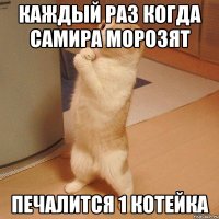 каждый раз когда Самира морозят печалится 1 котейка