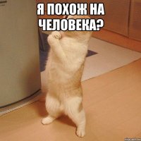 Я похож на человека? 