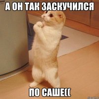 А он так заскучился по Саше((