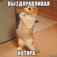 Выздоравливая Котяра:**