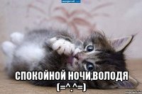  Cпокойной ночи,Володя (=^.^=)