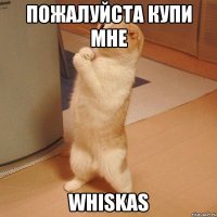 Пожалуйста купи мне Whiskas