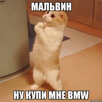 Мальвин Ну купи мне bmw