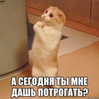  А сегодня ты мне дашь потрогать?