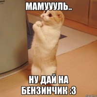 Мамуууль.. Ну дай на бензинчик :3