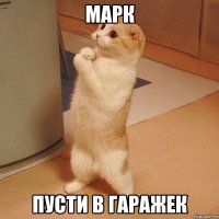 марк пусти в гаражек