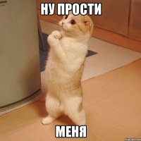 Ну прости меня