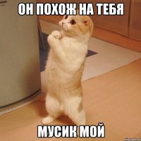 он похож на тебя мусик мой