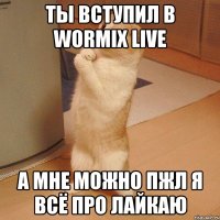 ты вступил в WORMIX LIVE а мне можно пжл я всё про лайкаю