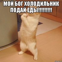 Мой Бог холодильник подай еды!!!!!!!!! 