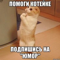 Помоги котейке Подпишись на "юмор"