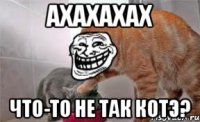 Ахахахах Что-то не так котэ?