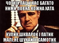 чоткіх пац у нас багато ними повна кожна хата кулик,шкварок і патик малі,не шукайте самотик