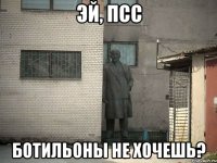 эй, ПСС Ботильоны не хочешь?