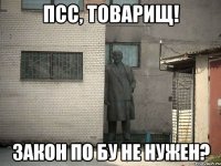 Псс, товарищ! Закон по БУ не нужен?