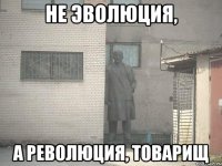 Не эволюция, а революция, товарищ