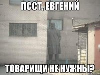 псст, евгений товарищи не нужны?