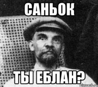 саньок ты еблан?