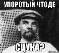 Упоротый чтоде сцука?