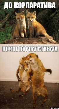 До корпаратива после корпаратива!!!