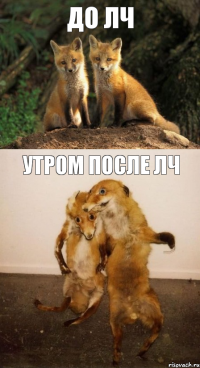 до лч утром после лч