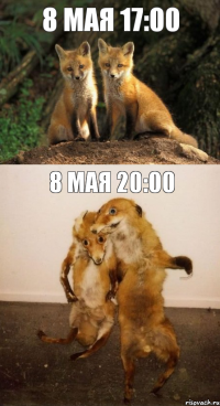 8 мая 17:00 8 мая 20:00