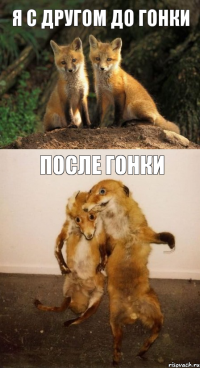 я с другом до гонки после гонки