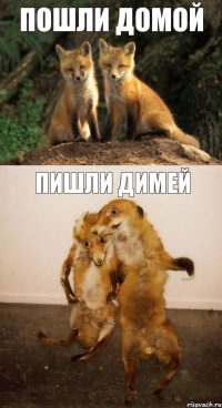 ПОШЛИ ДОМОЙ ПИШЛИ ДИМЕЙ