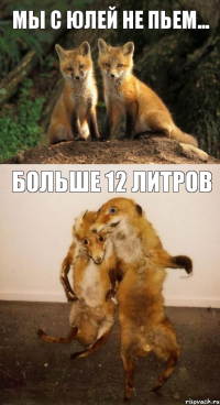 мы с Юлей не пьем... больше 12 литров