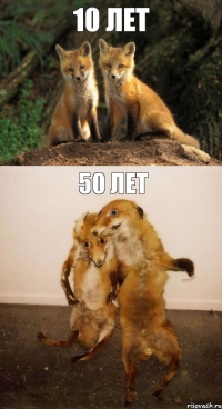 10 лет 50 лет