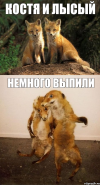 костя и лысый немного выпили