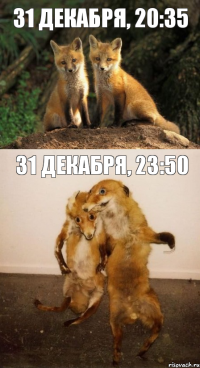 31 декабря, 20:35 31 декабря, 23:50