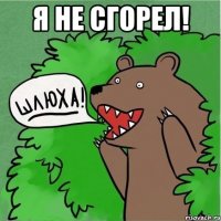 я не сгорел! 