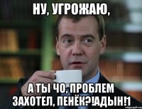 Ну, угрожаю, А ты чо, проблем захотел, пенёк?!адын!1