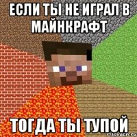 если ты не играл в майнкрафт тогда ты тупой