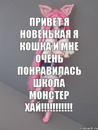 привет я новенькая я кошка и мне очень понравилась школа монстер хай!!!!!!!!!!!