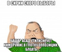 В Сирии скоро выборы Башар Асад утилизирует химоружие в глотку оппозиции, блеать