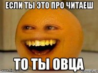 если ты это про читаеш то ты овца