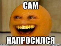 Сам напросился