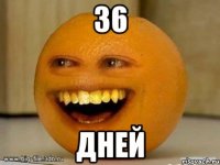 36 ДНЕЙ