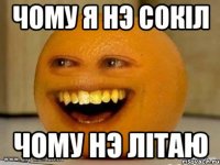 ЧОМУ Я НЭ СОКIЛ ЧОМУ НЭ ЛIТАЮ