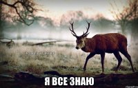  я все знаю