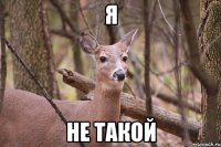 Я не такой