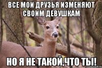 Все мои друзья изменяют своим девушкам Но я не такой,что ты!