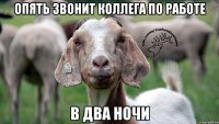 Опять звонит коллега по работе В два ночи